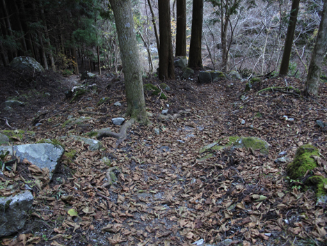 20161206hike (498)